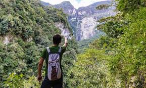 Exploring the Wonders of the Amazon Rainforest